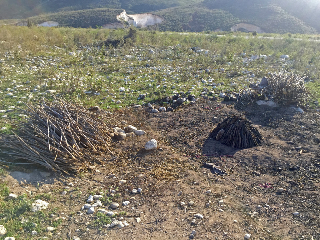 Madanm Zaniyis’s charcoal making area beside her home